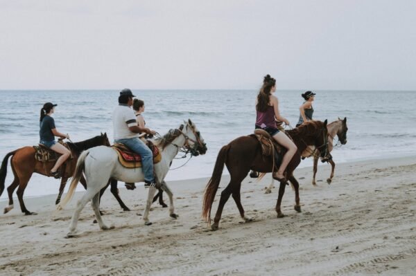 Horse riding in the beach