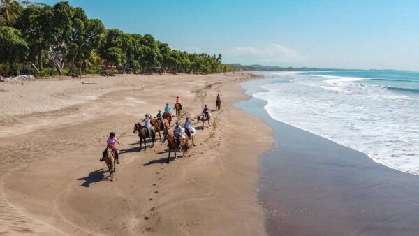 Horse riding beach tour