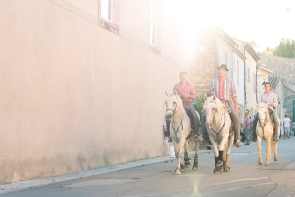 Horse rifding in the city