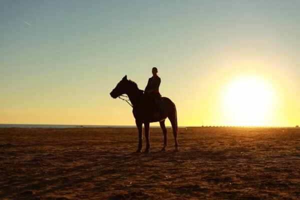 Horse riding in the desert